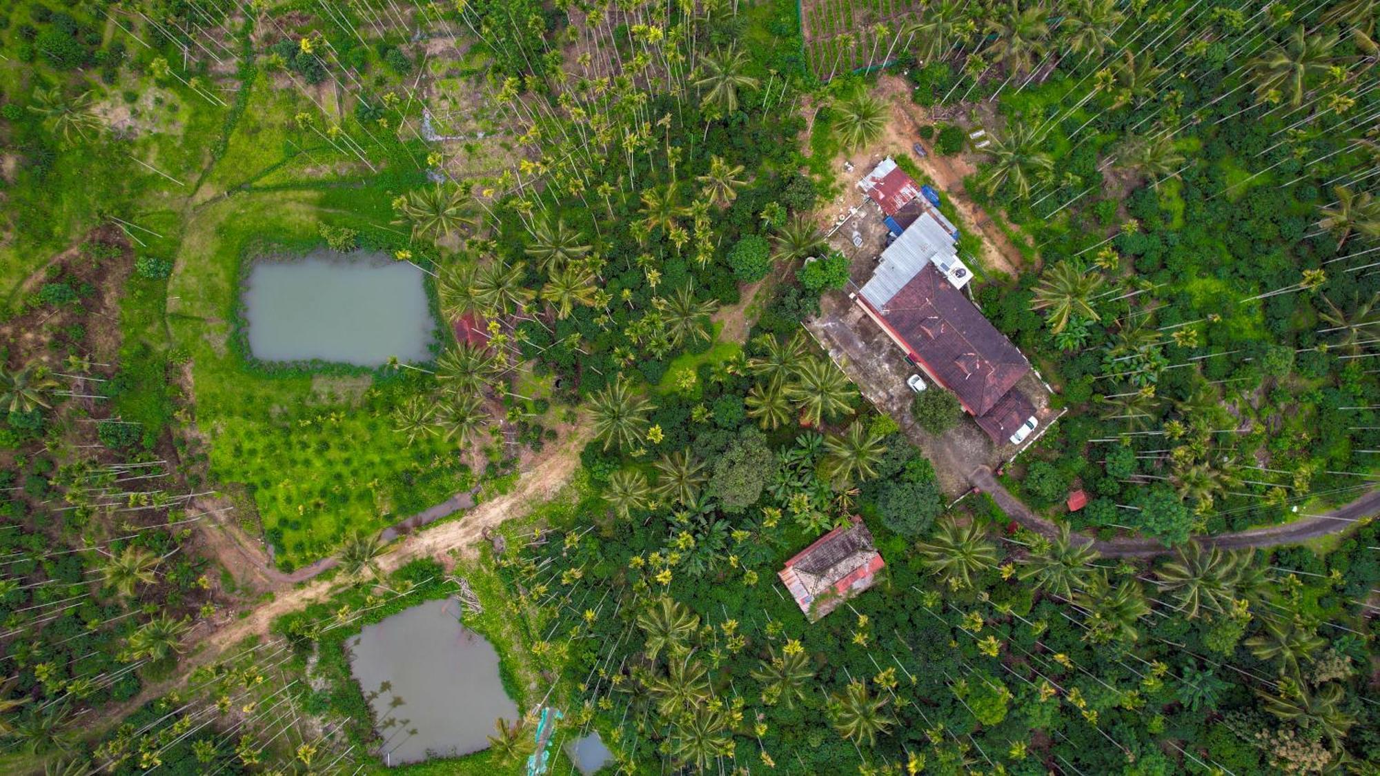 Wayanad Palm Grove Retreat G Floor Διαμέρισμα Sultan Bathery Εξωτερικό φωτογραφία