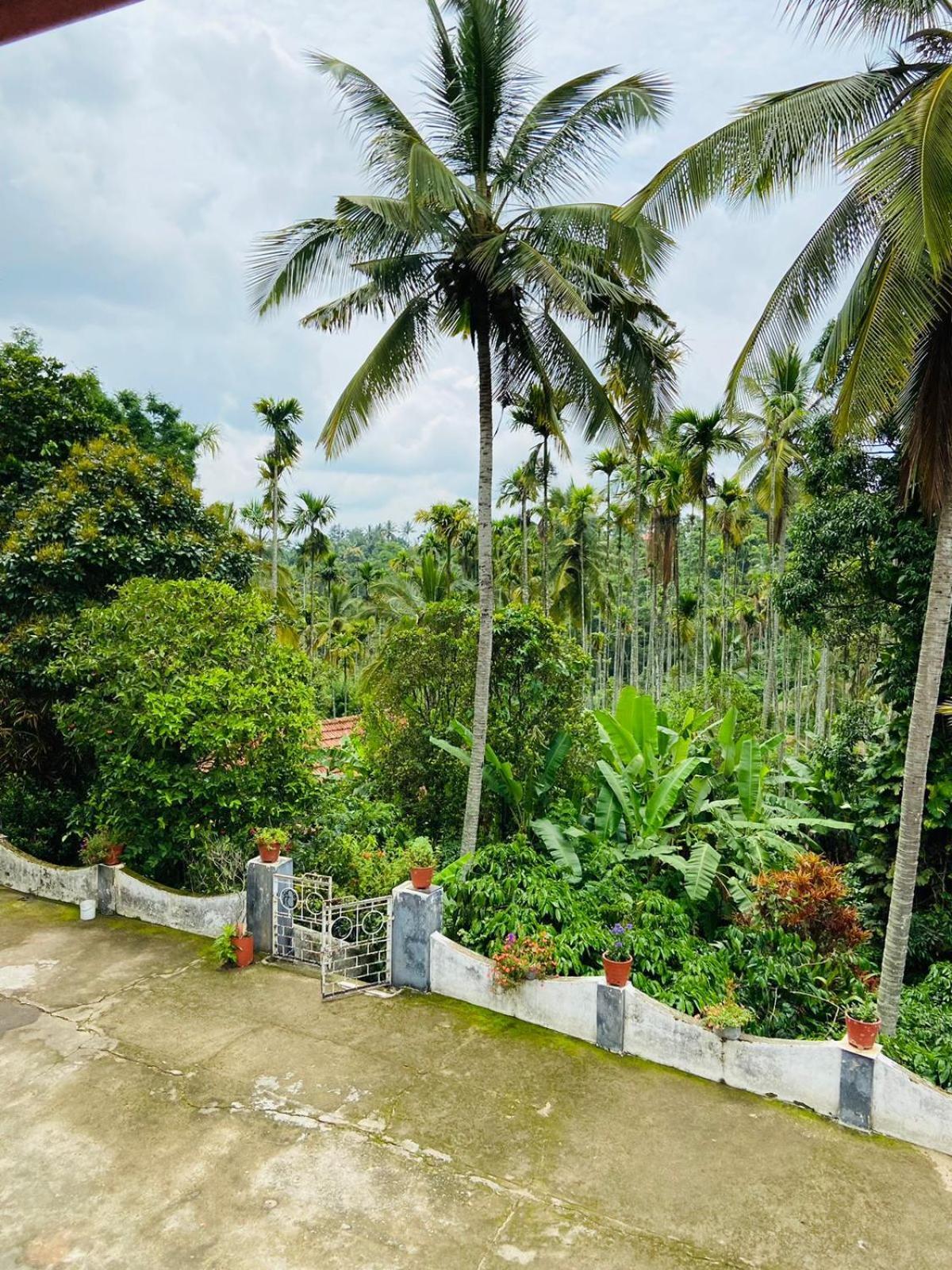 Wayanad Palm Grove Retreat G Floor Διαμέρισμα Sultan Bathery Εξωτερικό φωτογραφία